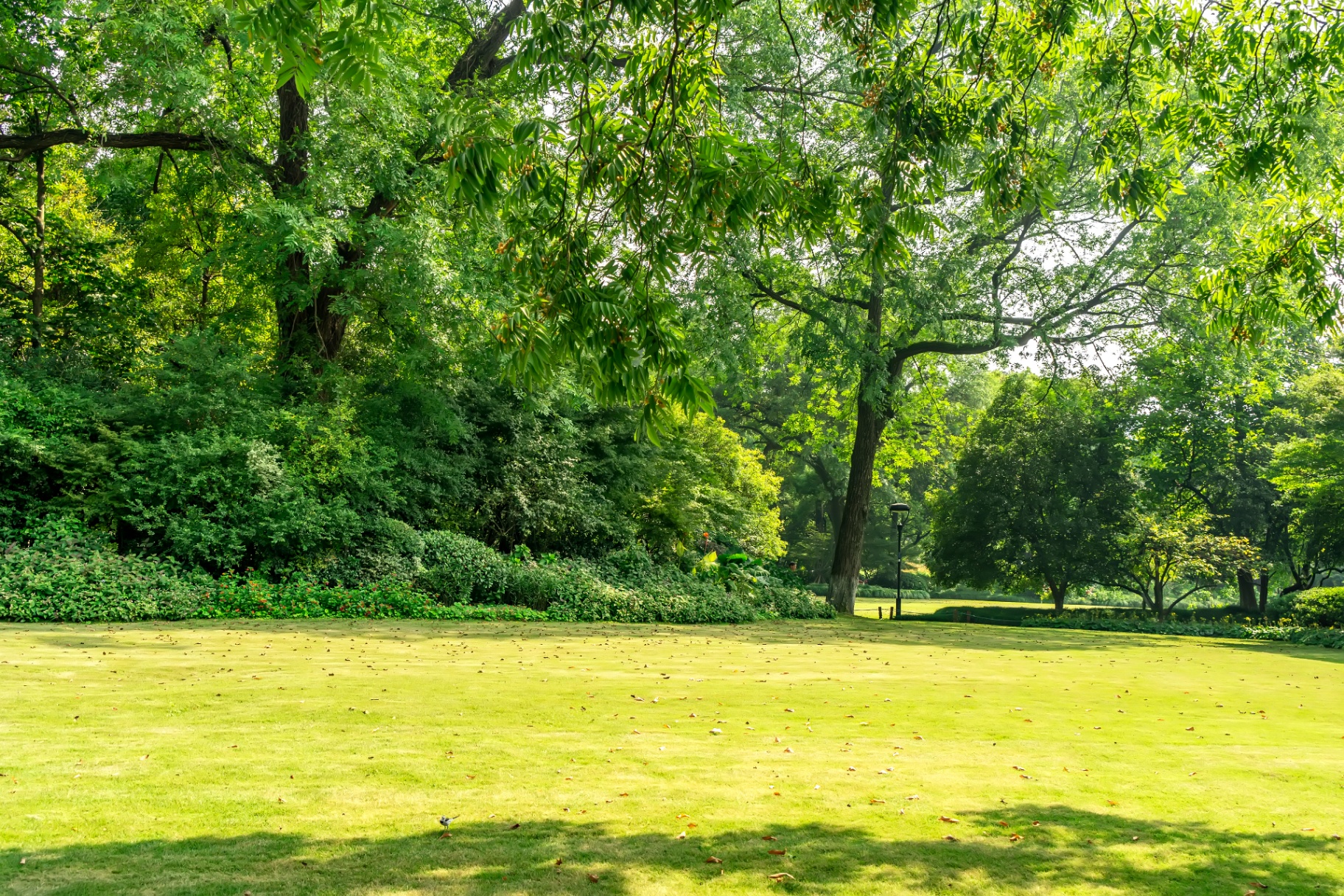 Parque